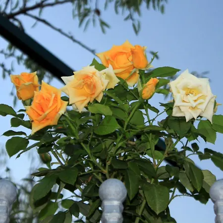 Pensionat Double 2682e Slano