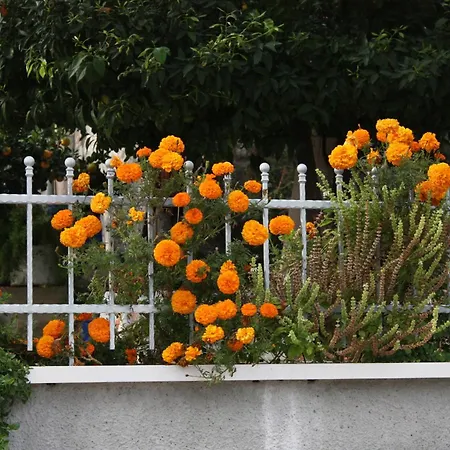 Double 2682e Pensionat