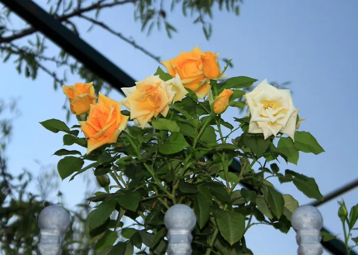 Gasthof Double 2682e Slano