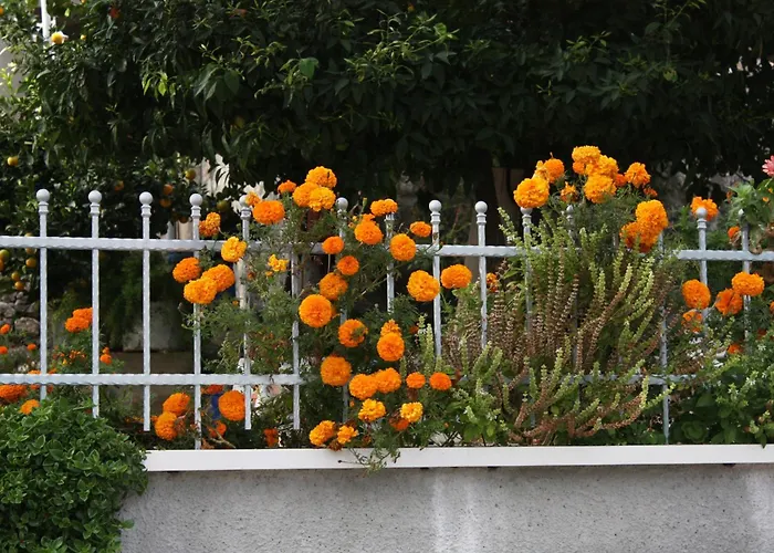 Double 2682e Gasthof